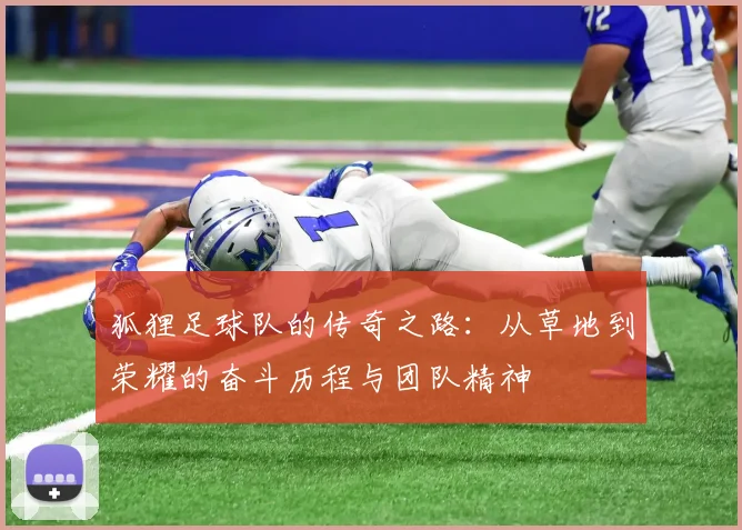 狐狸足球队的传奇之路：从草地到荣耀的奋斗历程与团队精神