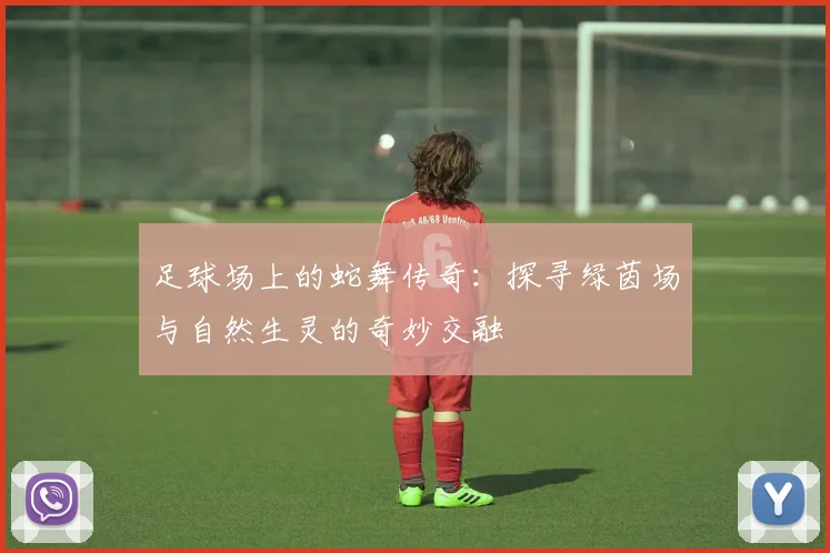 足球场上的蛇舞传奇：探寻绿茵场与自然生灵的奇妙交融