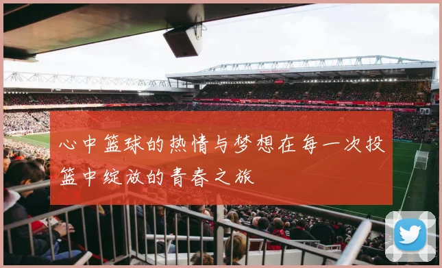 心中篮球的热情与梦想在每一次投篮中绽放的青春之旅