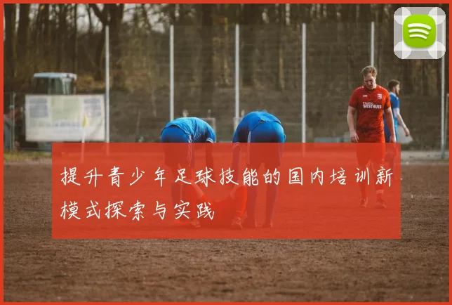 提升青少年足球技能的国内培训新模式探索与实践