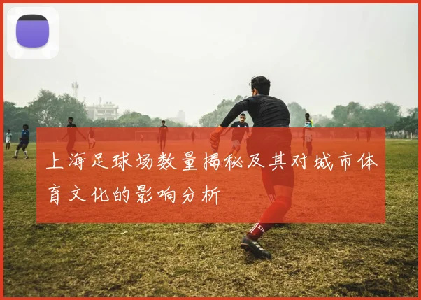 上海足球场数量揭秘及其对城市体育文化的影响分析