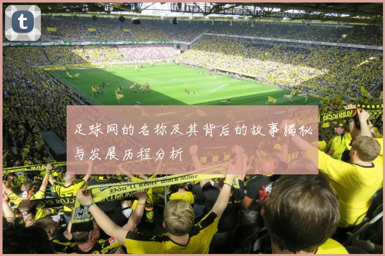 足球网的名称及其背后的故事揭秘与发展历程分析